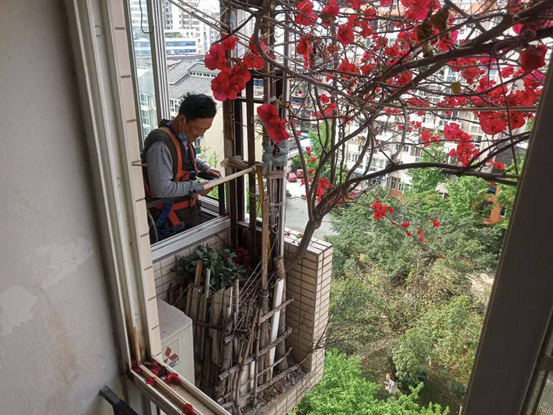 陽臺植物拆除:將陽臺和客廳打通。很多人想擴大自家客廳面積，改善采光情況，因此就選擇打通陽臺和客廳，這并不是完全不行的，但是要考慮戶型的實際情況。有的戶型陽臺的墻是用來抗震的，如果拆掉，短期看不出問題，但是長期使用必然會影響房子的承載能力，遇到嚴重災禍的時候，就完全無法抵抗了。