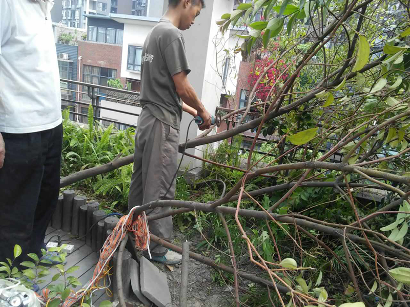 屋頂花園怎么裝修，樓頂花園裝修注意事