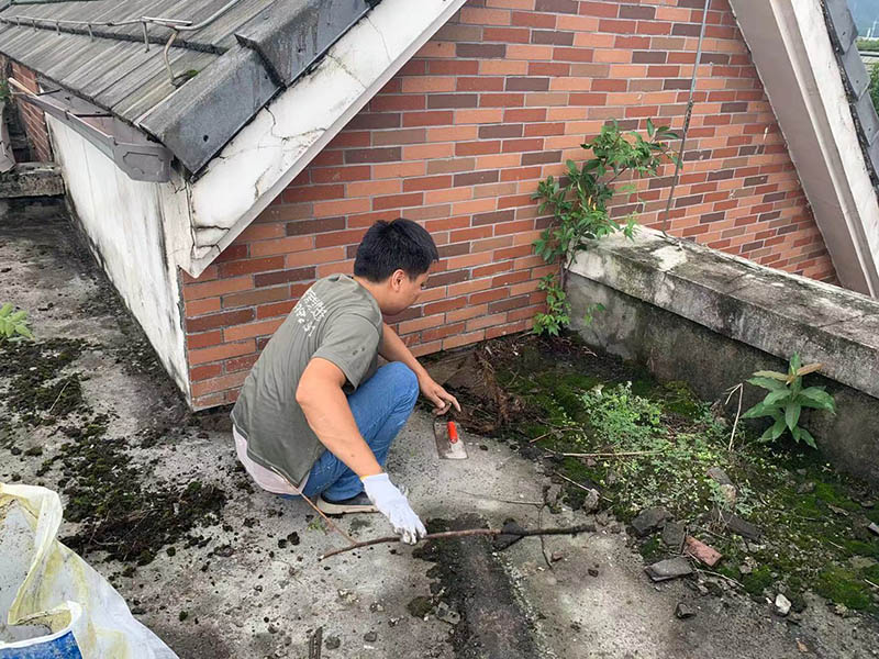 樓頂花園改造臥室效果怎樣？